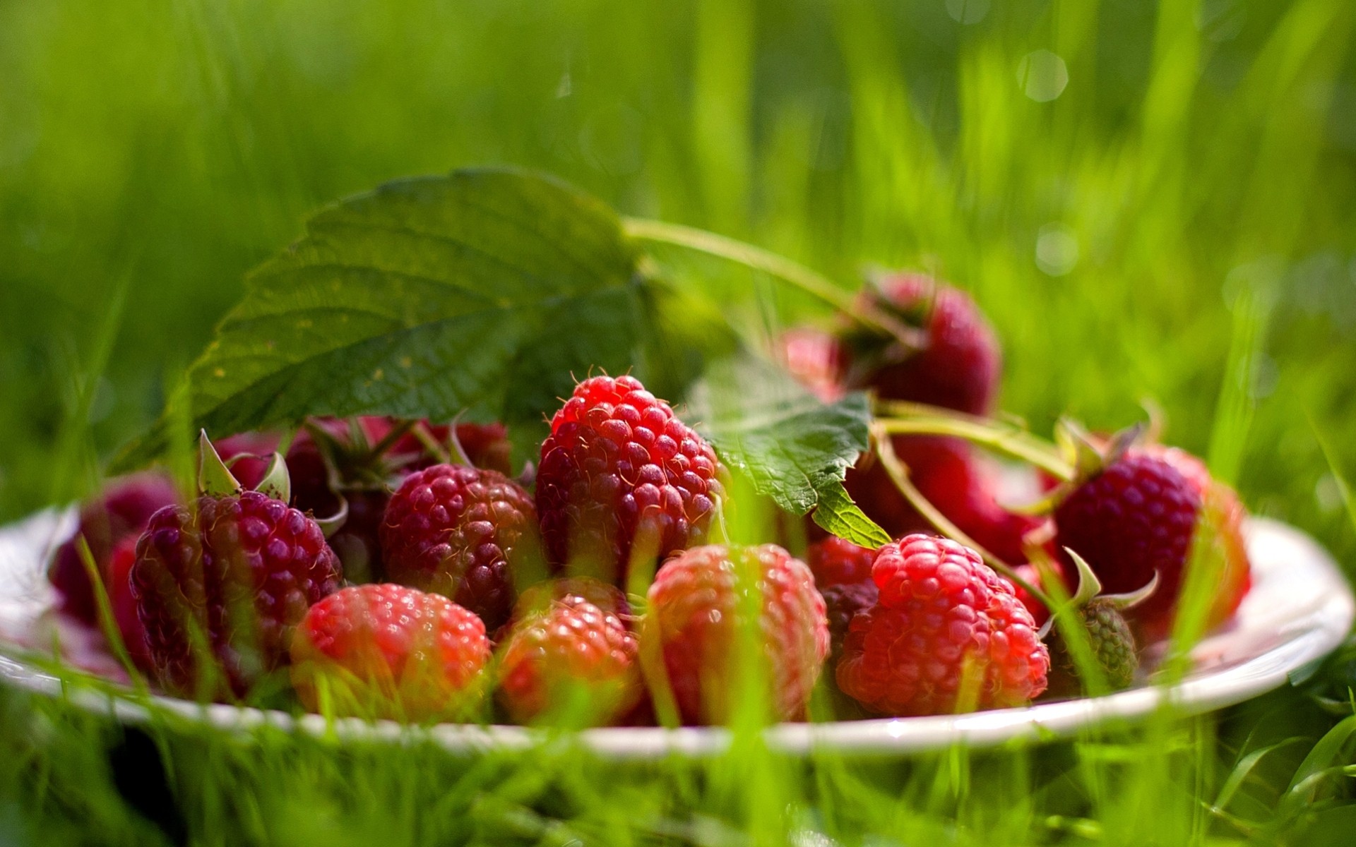 framboises verts baies alimentaire été gros plan