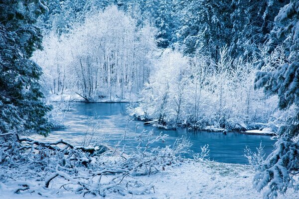 Río en un hermoso bosque de invierno