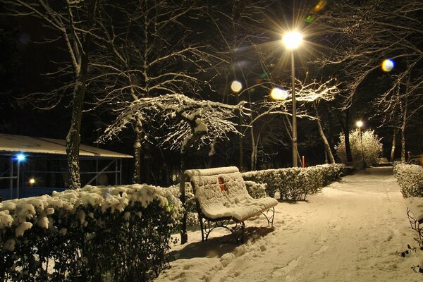 Winter park illuminated by lanterns