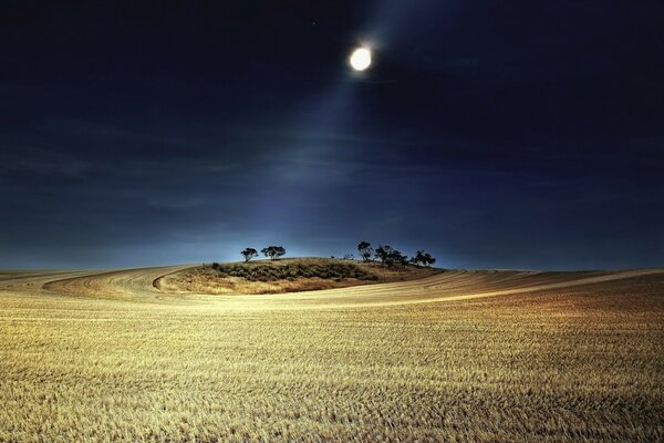 La luz de la Luna ilumina los campos por la noche