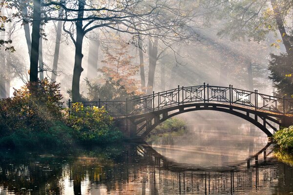 Мост через реку в лучах осеннего солнца