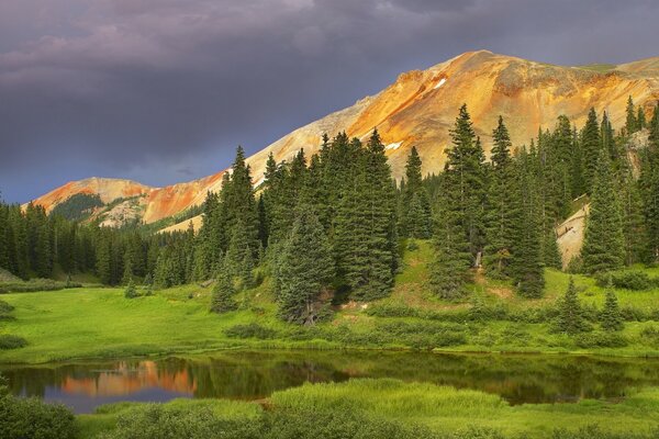 Natural forest and mountain range