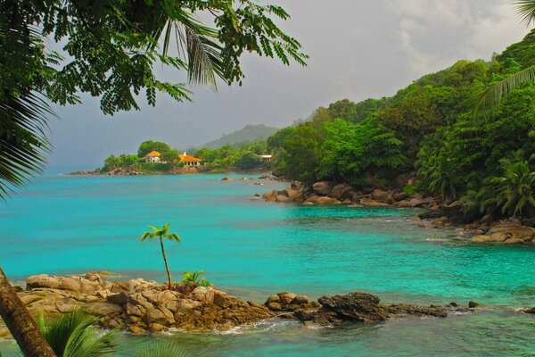 Vacances isolées sur une île paradisiaque