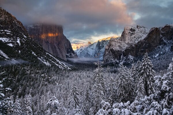 Parc National de Californie en hiver