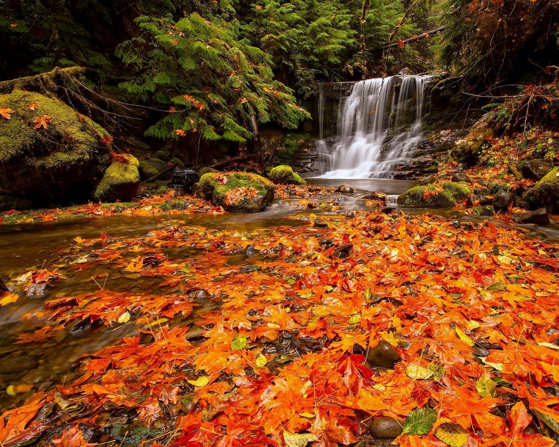 piedras hoja cascada naturaleza bosque otoño