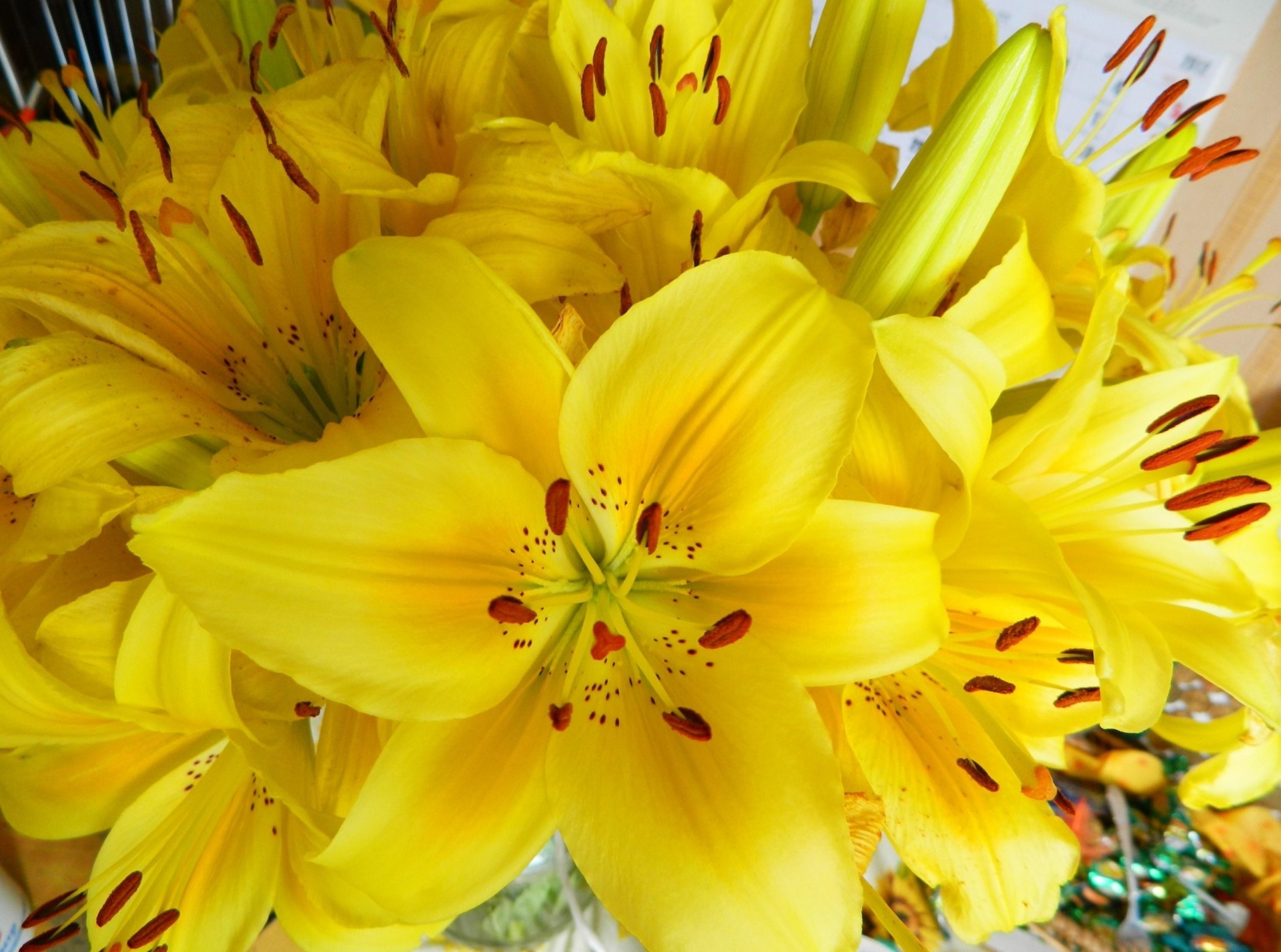 bouquet stami giallo fiori gigli luminoso