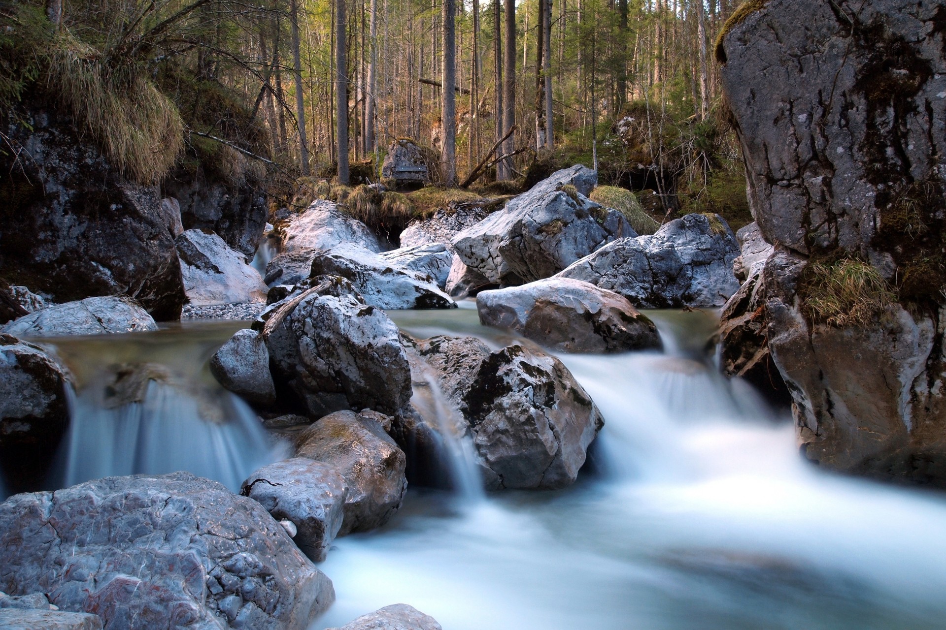 pietre foresta fiume natura