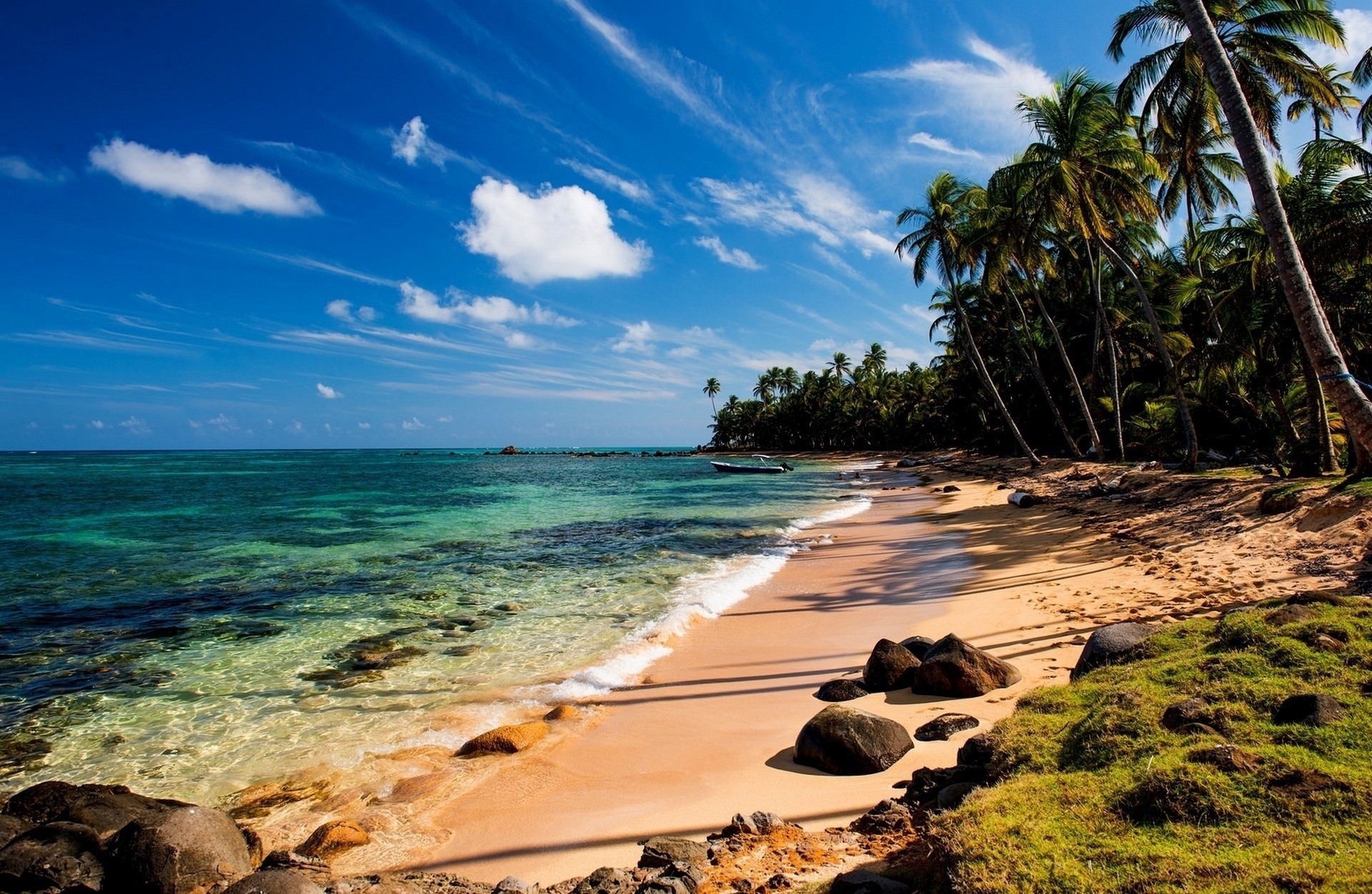 tones beach palm tropics ocean summer sand beautiful boat