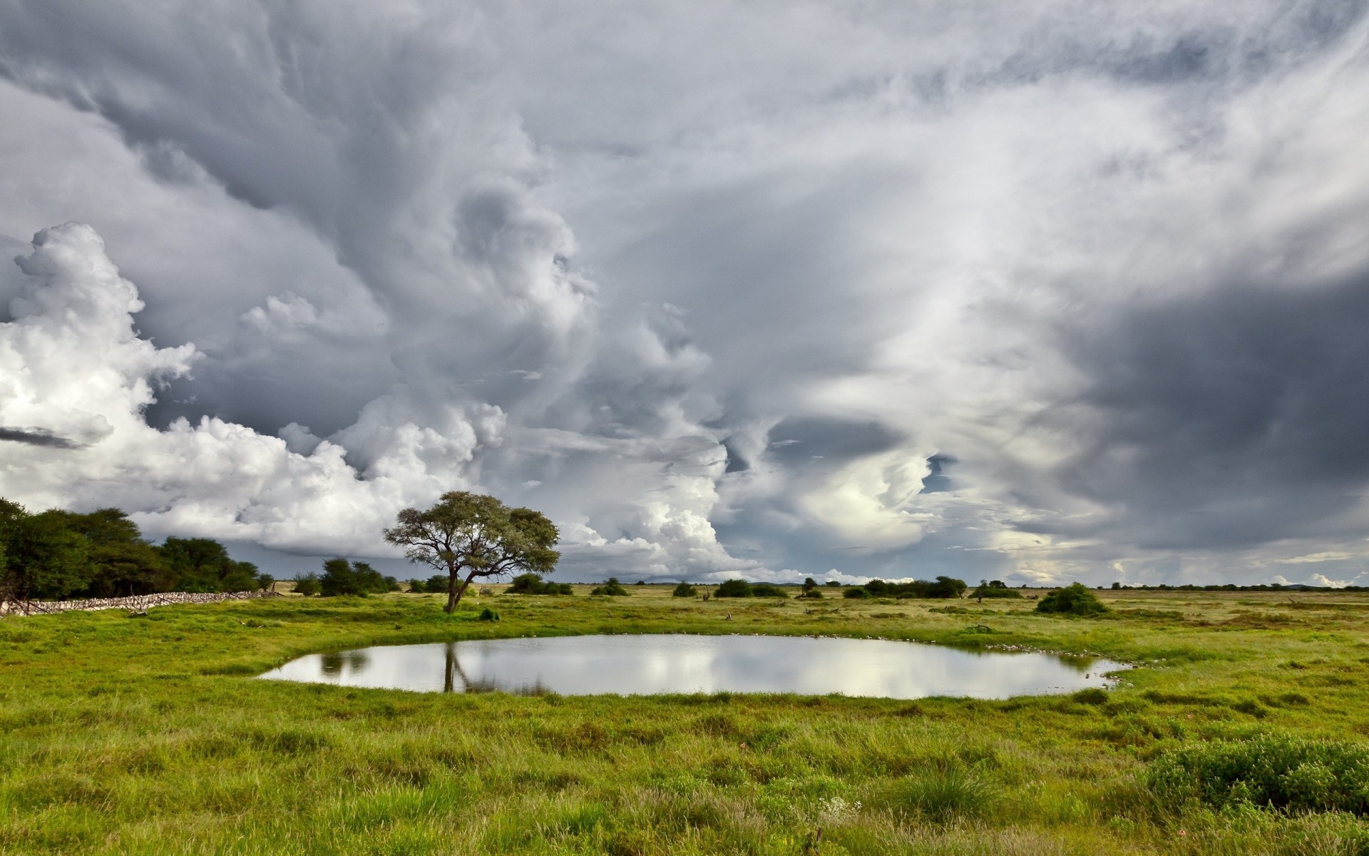 hierba árbol piscina lago volumen cielo nubes prado nublado