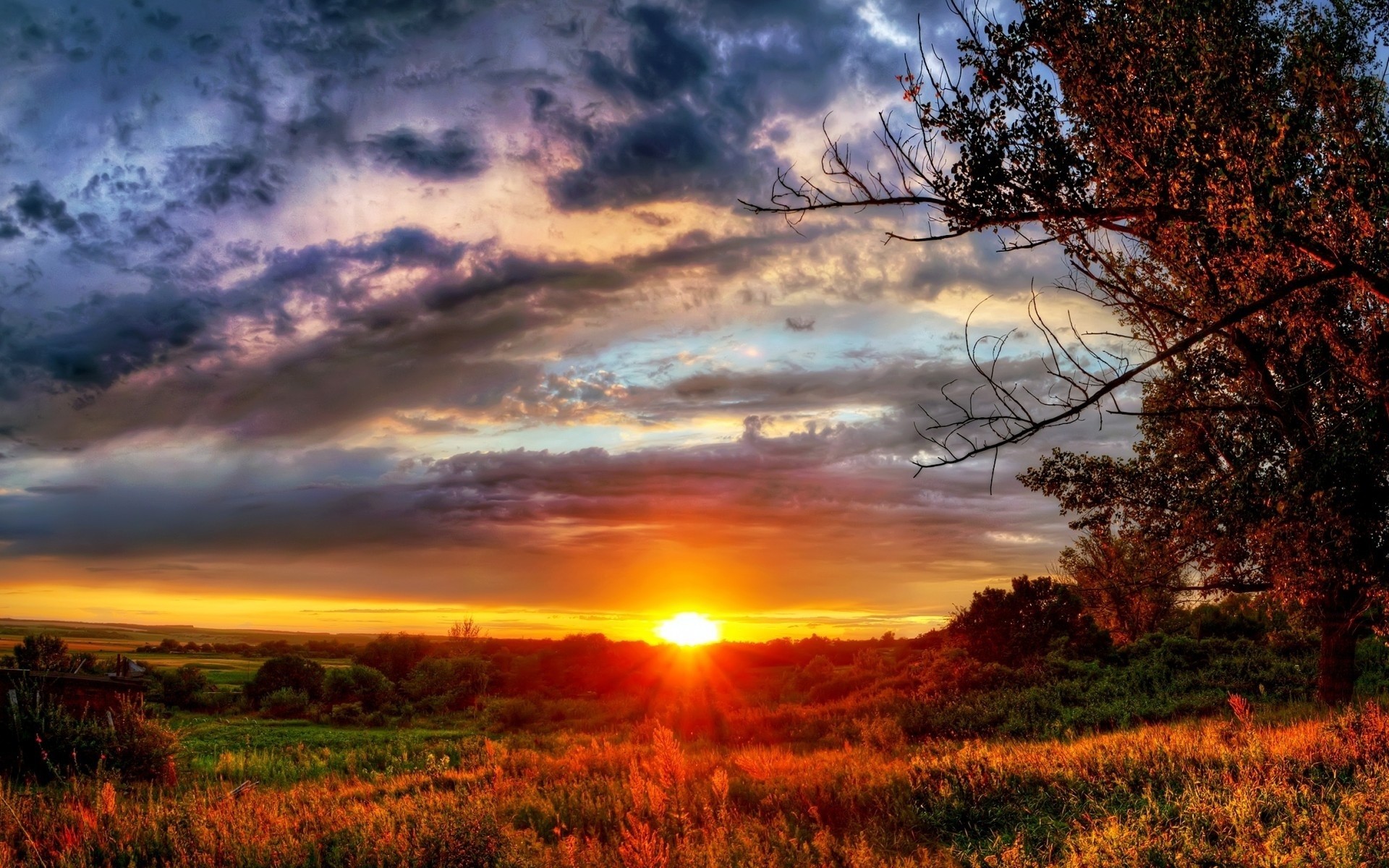 landscape seasons sunset clouds tree sun sky autumn horizon