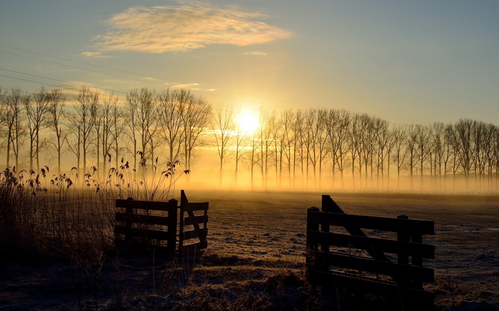 the field landscape fence sunset