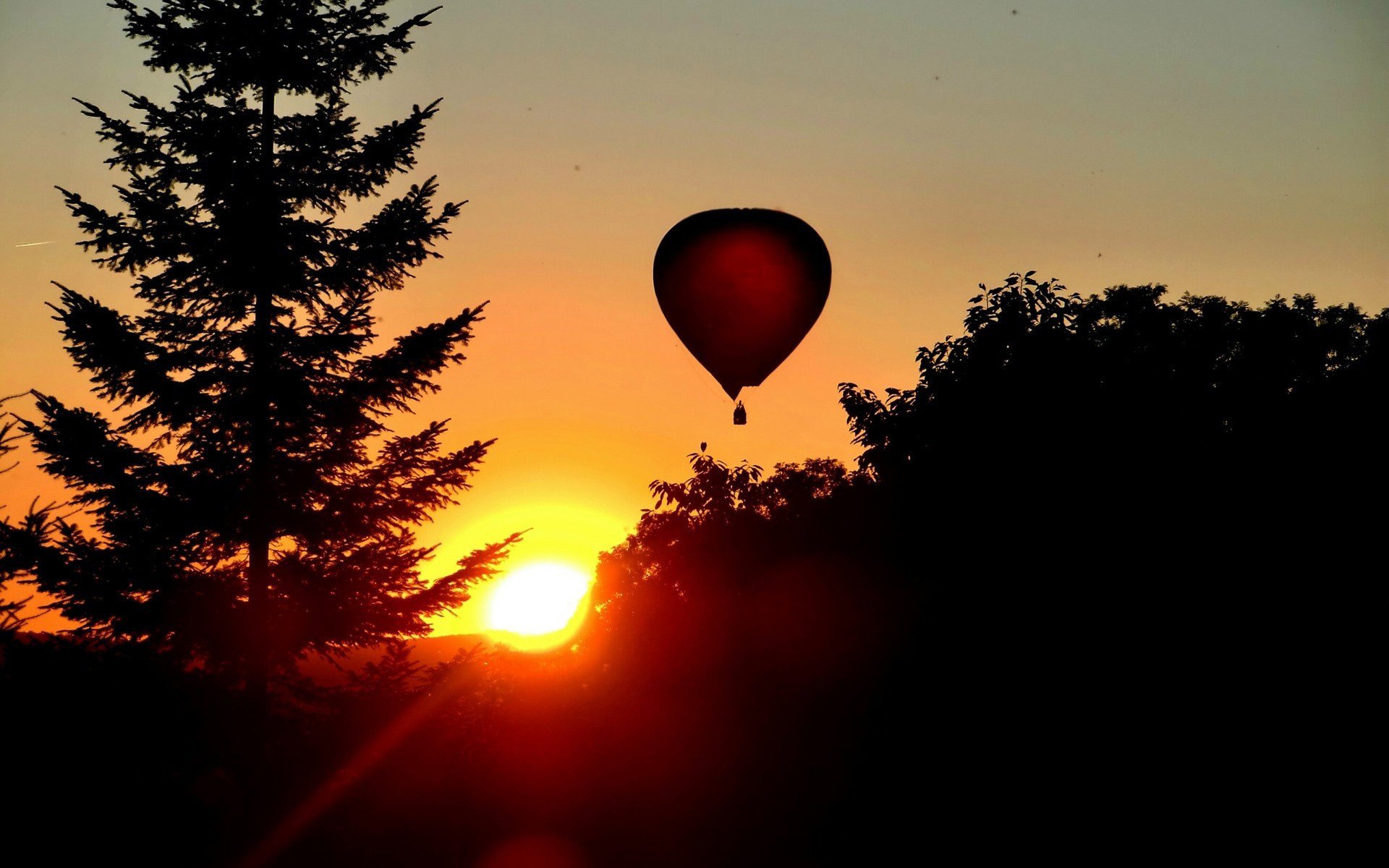 ballon forêt ciel silhouettes aube arbres