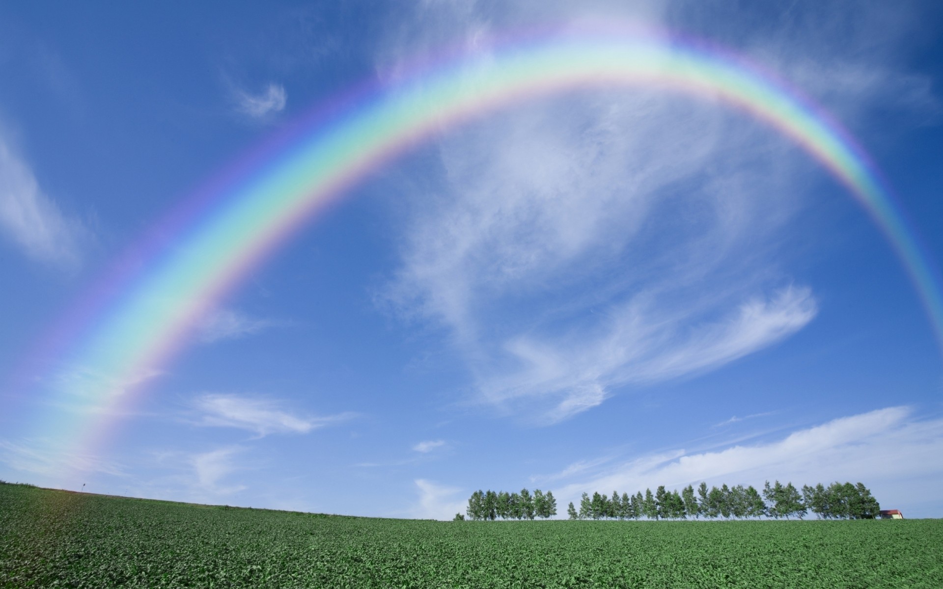 bogen unten bäume design sommer himmel klar feld