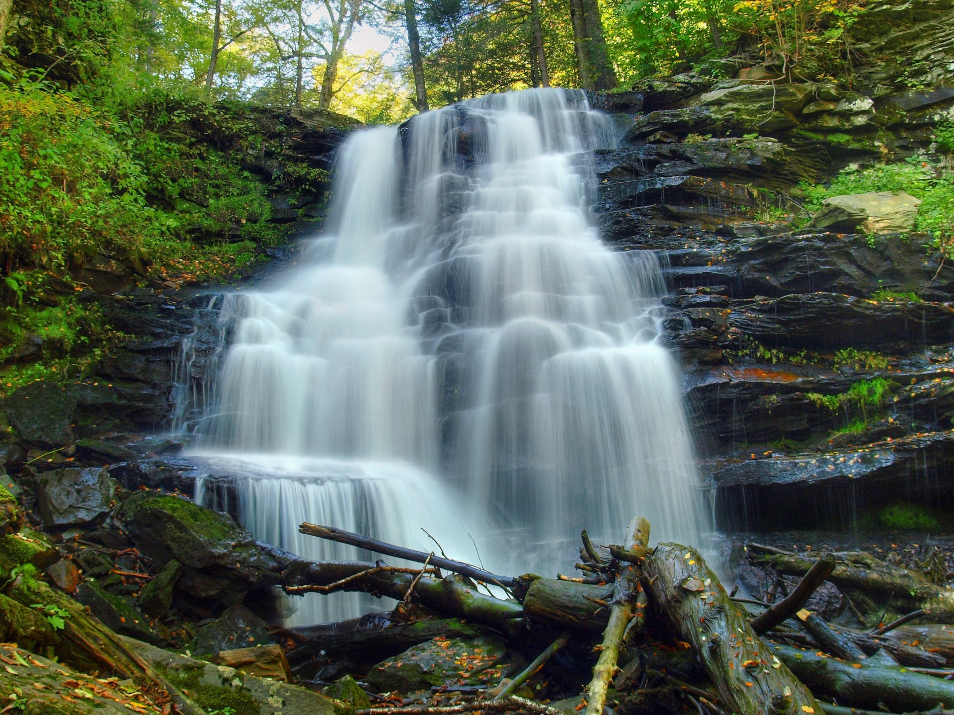 tree waterfall rock nature