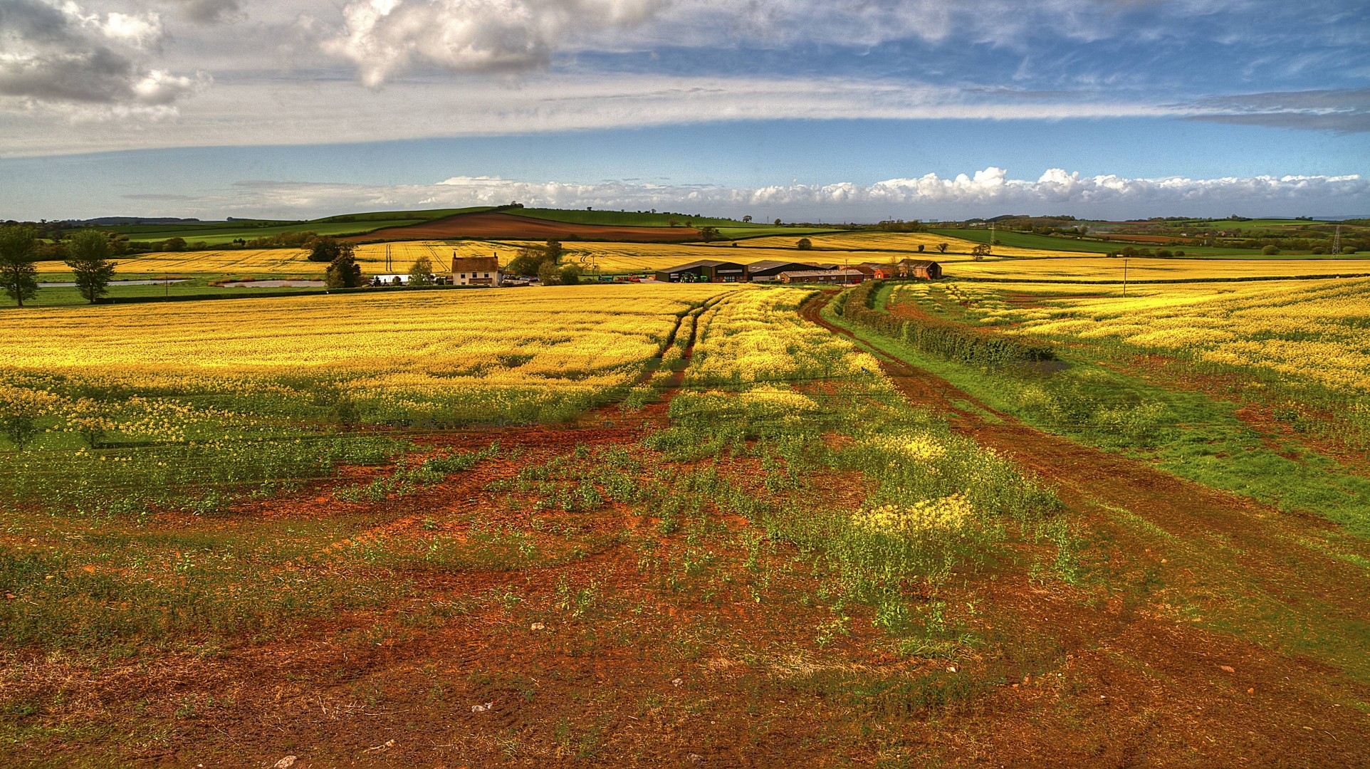 straße landschaft bäume toskana häuser