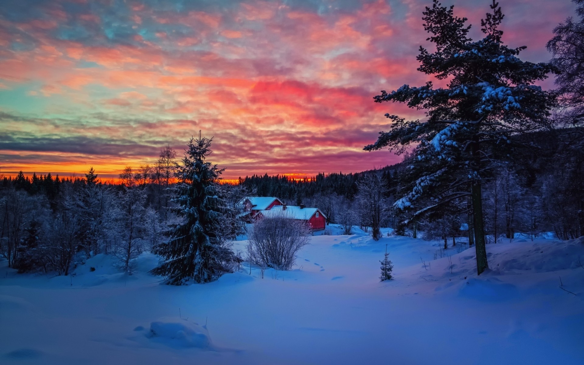 paesaggio oscurità tramonto alberi foresta casa cielo neve inverno