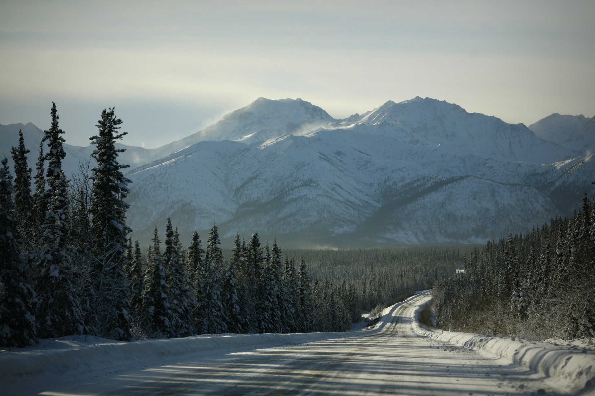 road snow forest mountain nature