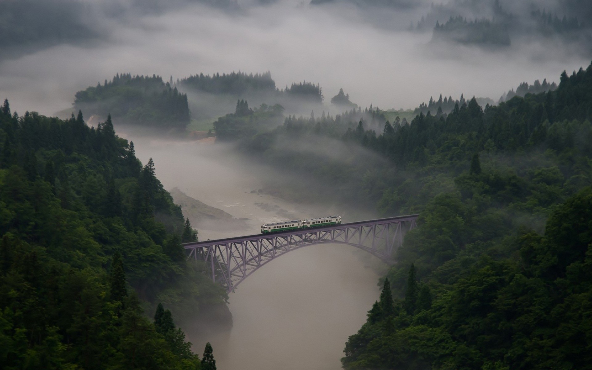 wald brücke nebel zug