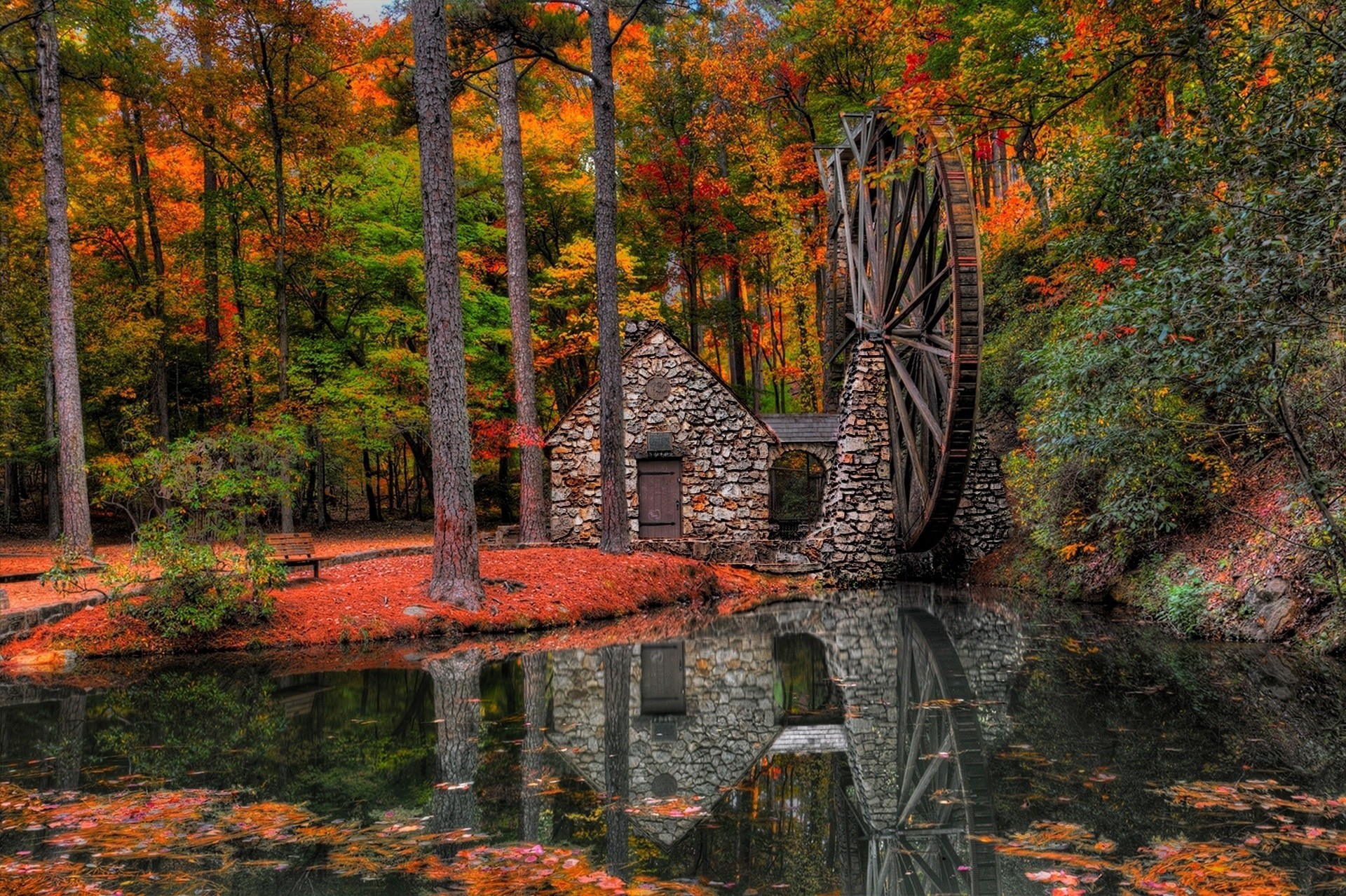 mühlen blatt wassermühle park palmen wald gasse spaziergang herbst