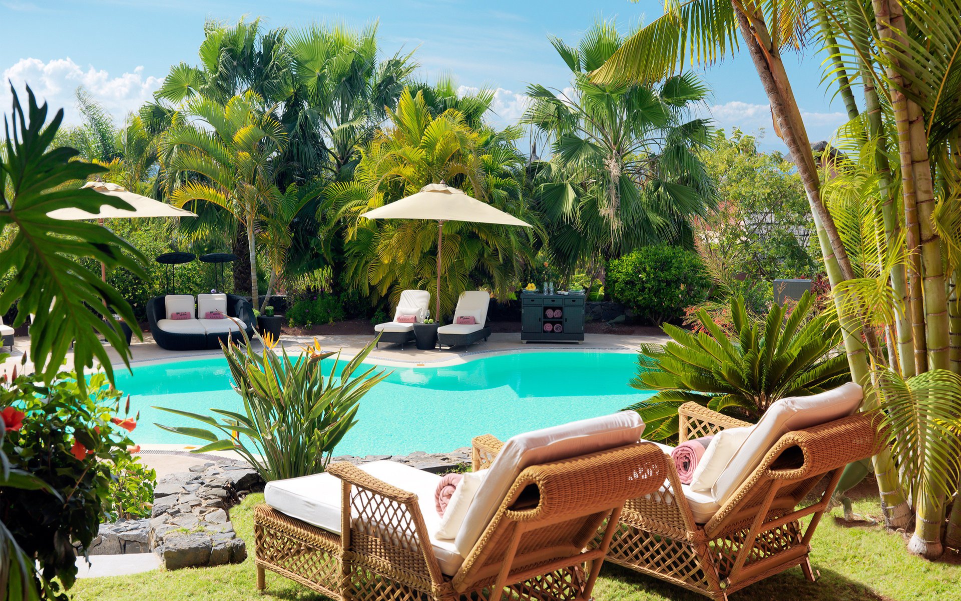 pools palmiers fauteuils table de chevet transats canapé piscine