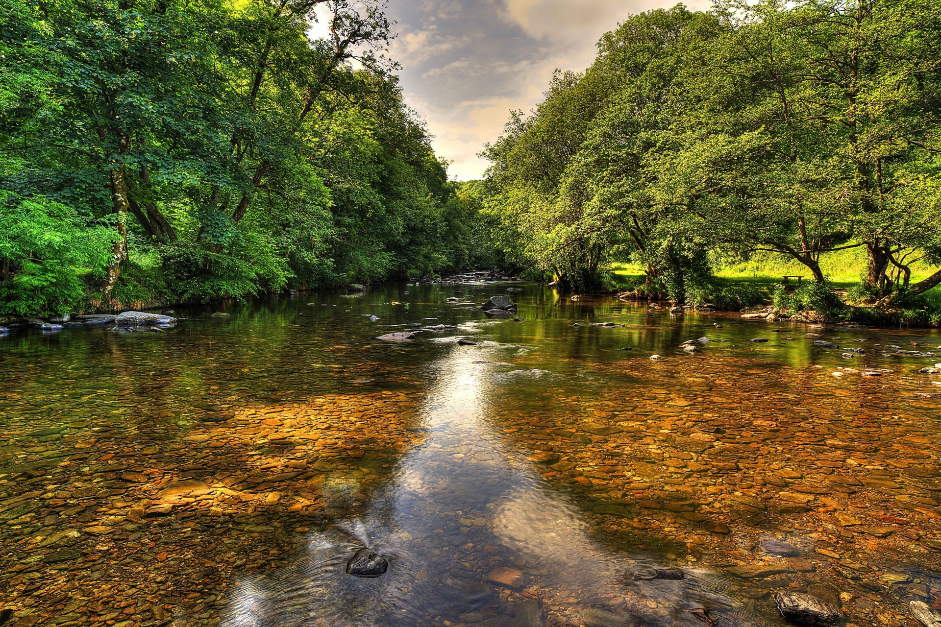 bäume landschaft fluss