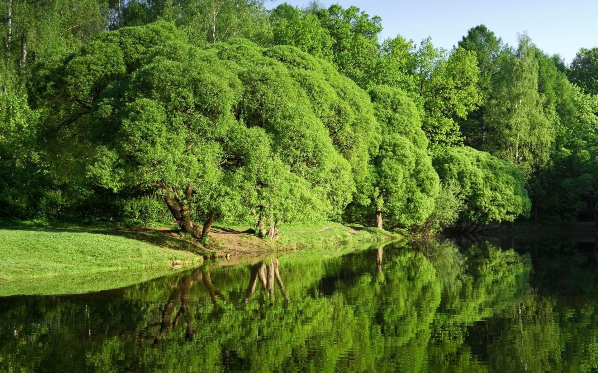 Зелёный пейзаж с отражением деревьев в реке - обои на рабочий стол
