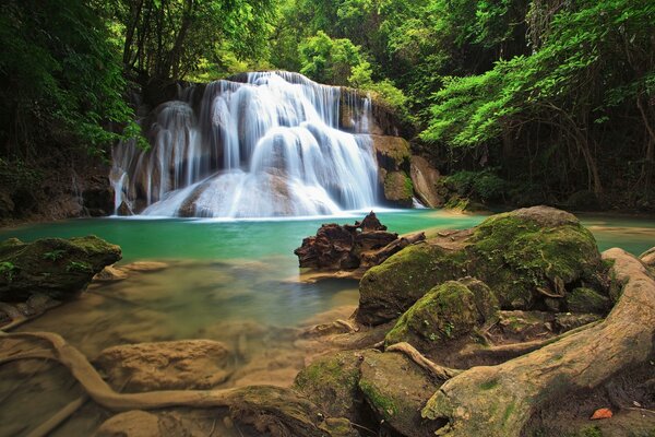 The waterfall has a beautiful forest with rocks