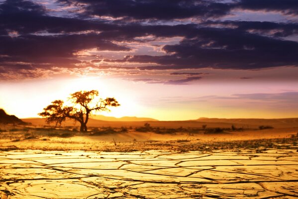 Afrikanische Savanne, rissige Erde vor Trockenheit