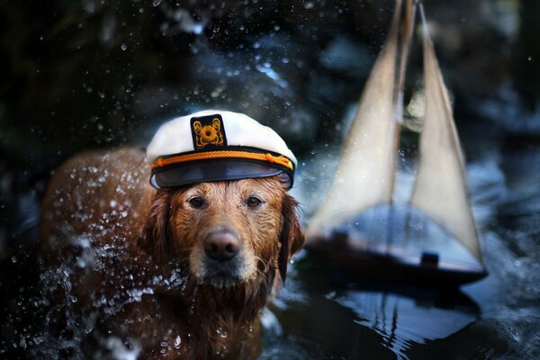 Hund Kapitän mit Schiff im Hintergrund