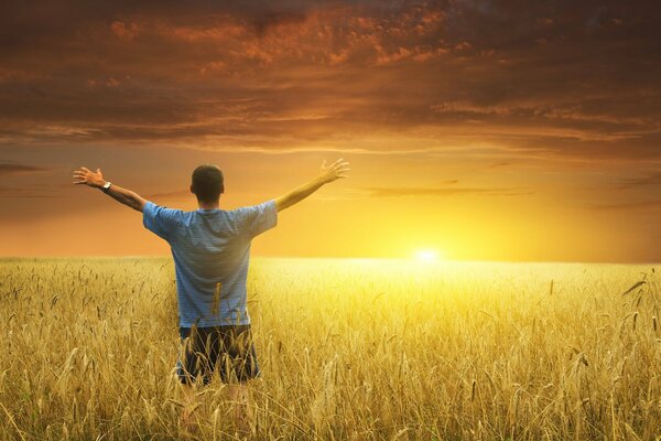 A man on the background of a wheat field in the rays of the golden sun