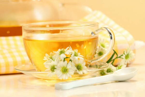 Transparent mug with golden tea on the background of a checkered napkin, with a saucer and flowers