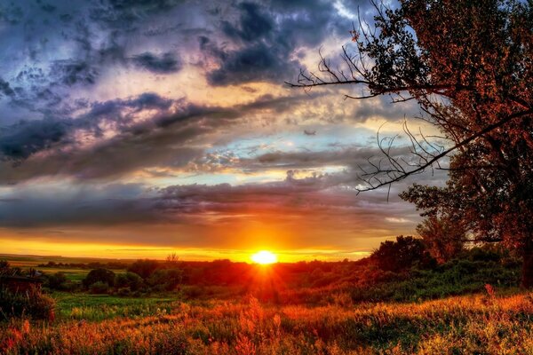 Brillante puesta de sol de otoño en el bosque