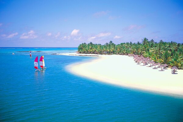 Plage de sable blanc et mer bleue