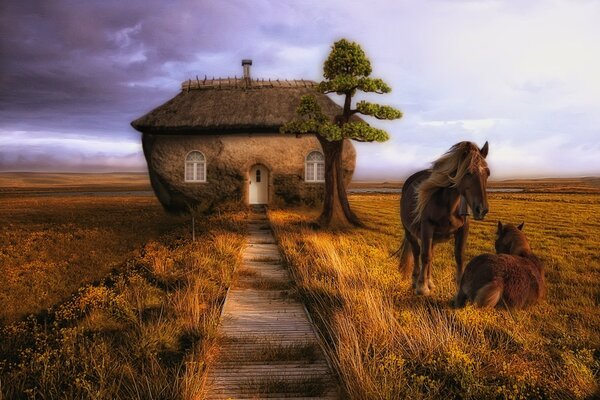 A house with horses in the field