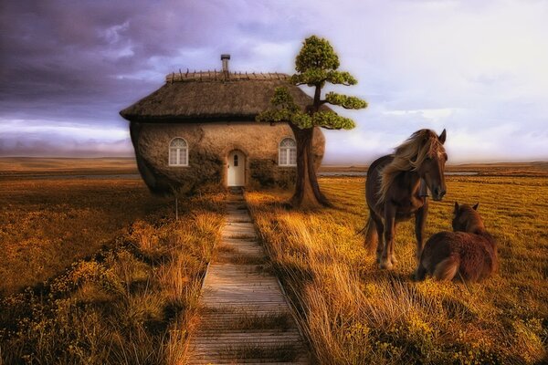 Casa con caballos en el campo