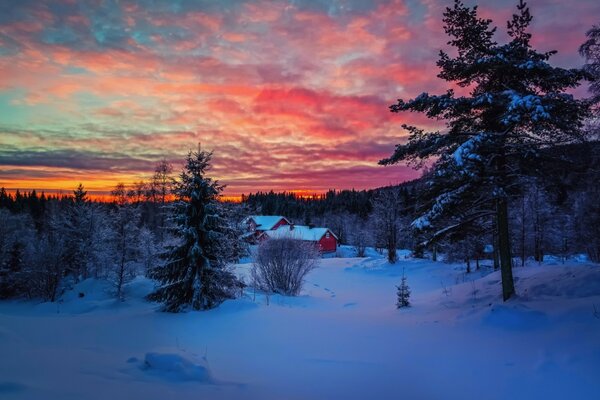 A lonely house in the winter forest