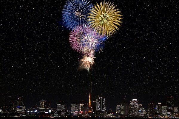 Hermosos fuegos artificiales en una noche estrellada en una gran ciudad