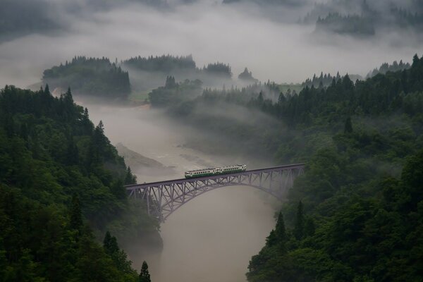 The train rides over the bridge over the misty forest