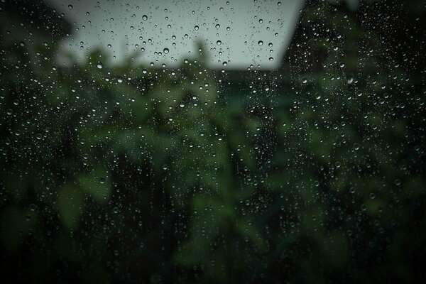 Raindrops on the glass