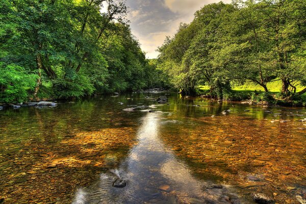 Transparent sunny river