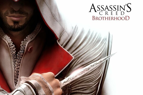 The Assassin from the poster game of the same name