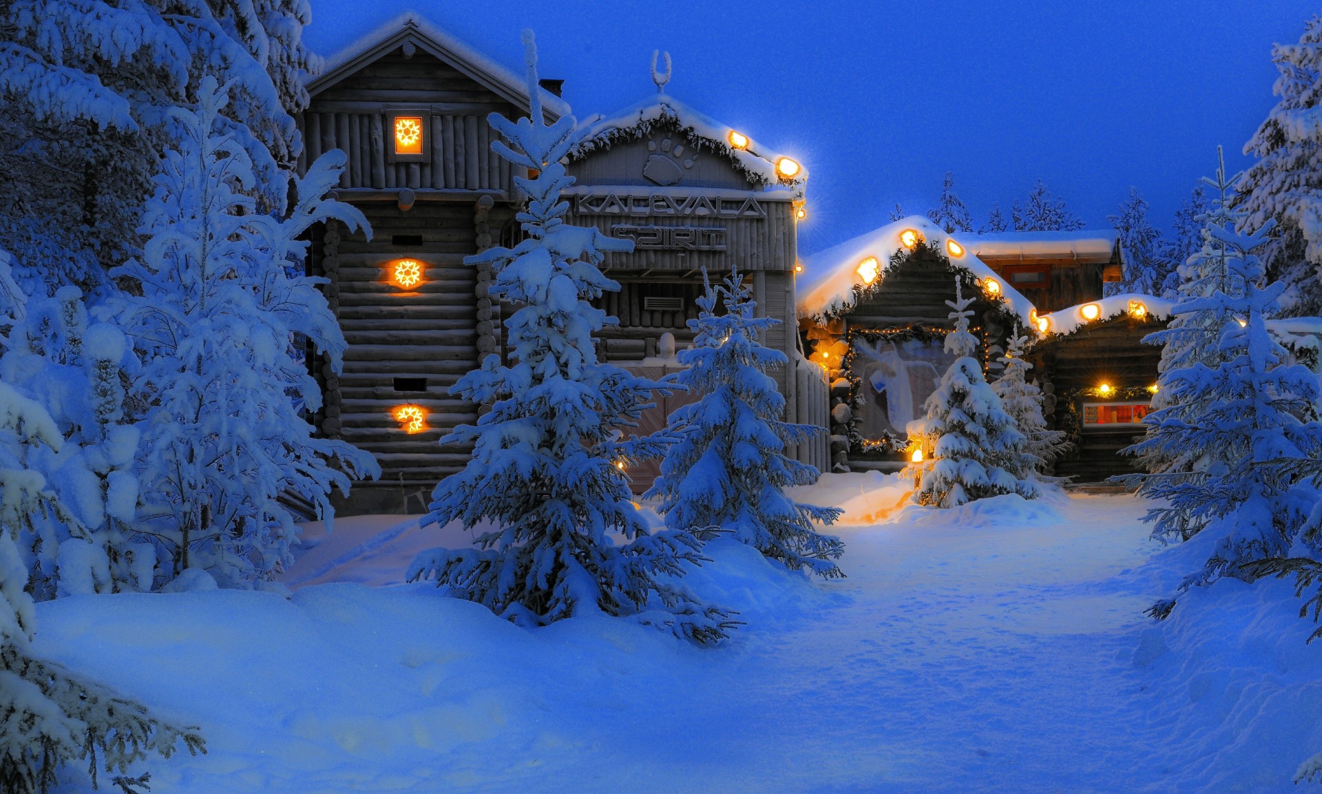 laponie finlande nuit arbres neige maison