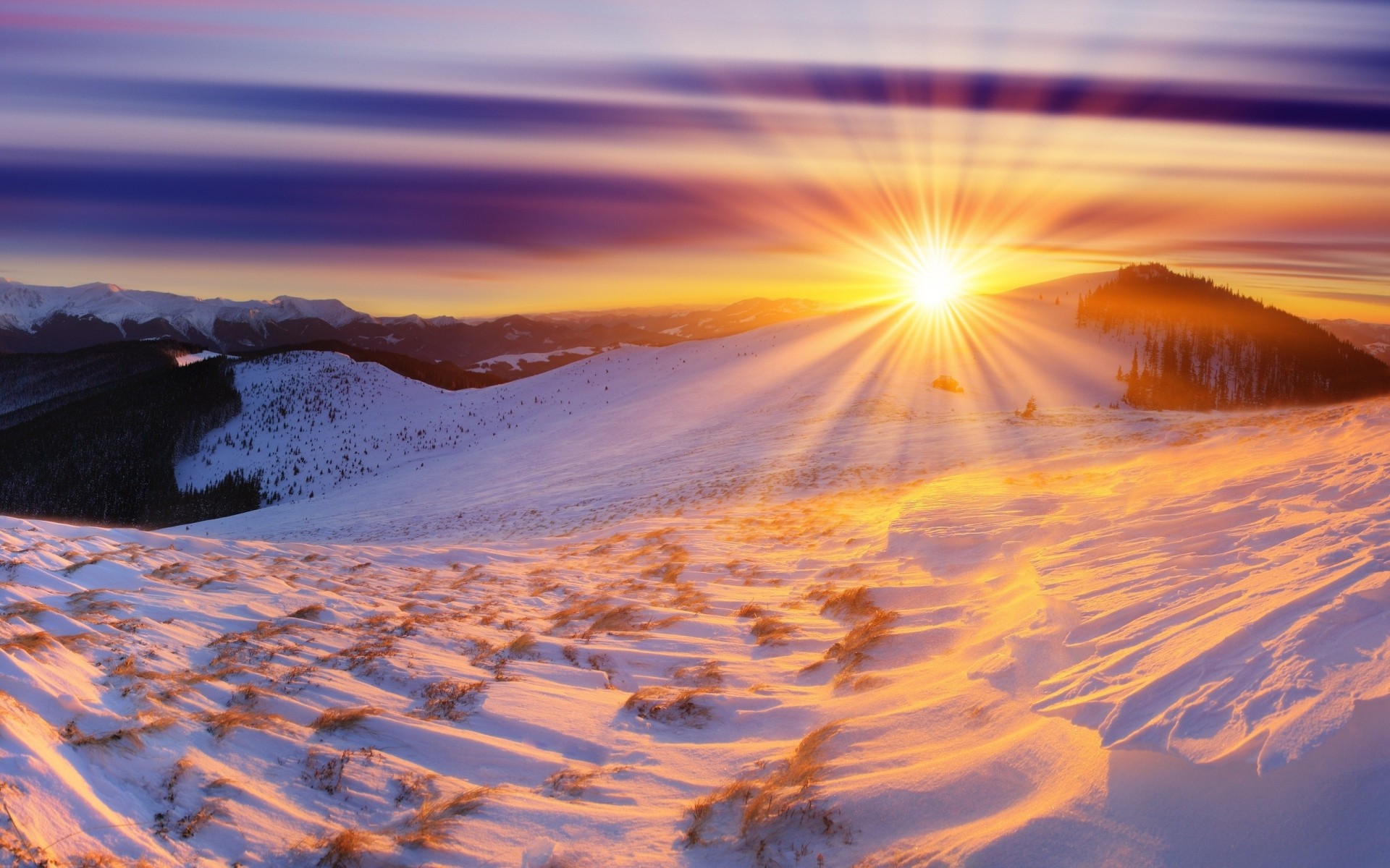 soleil montagnes neige hiver parc central