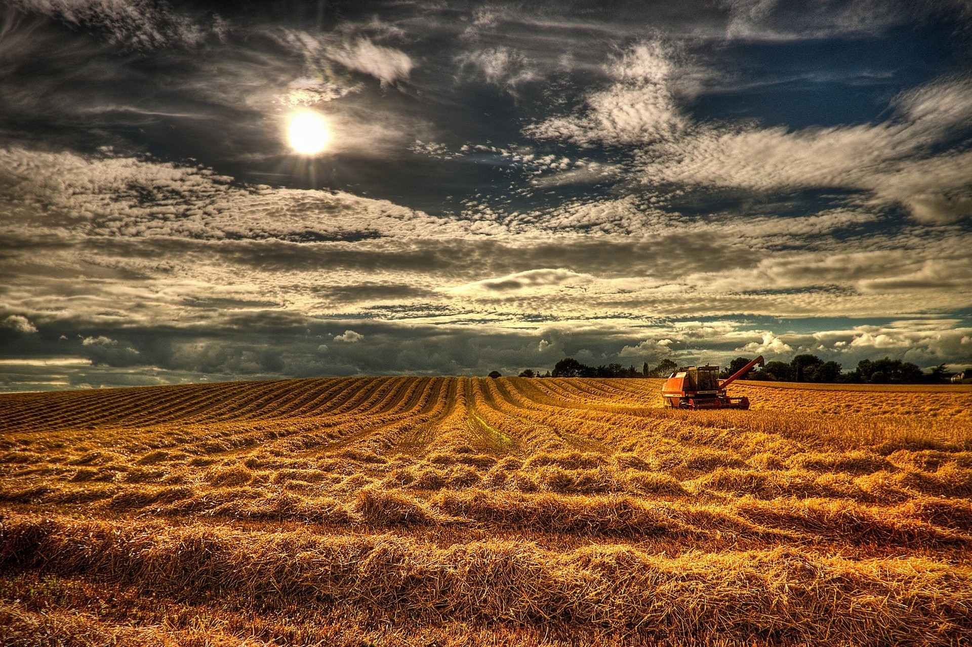 ernte england feld nordirland mähdrescher