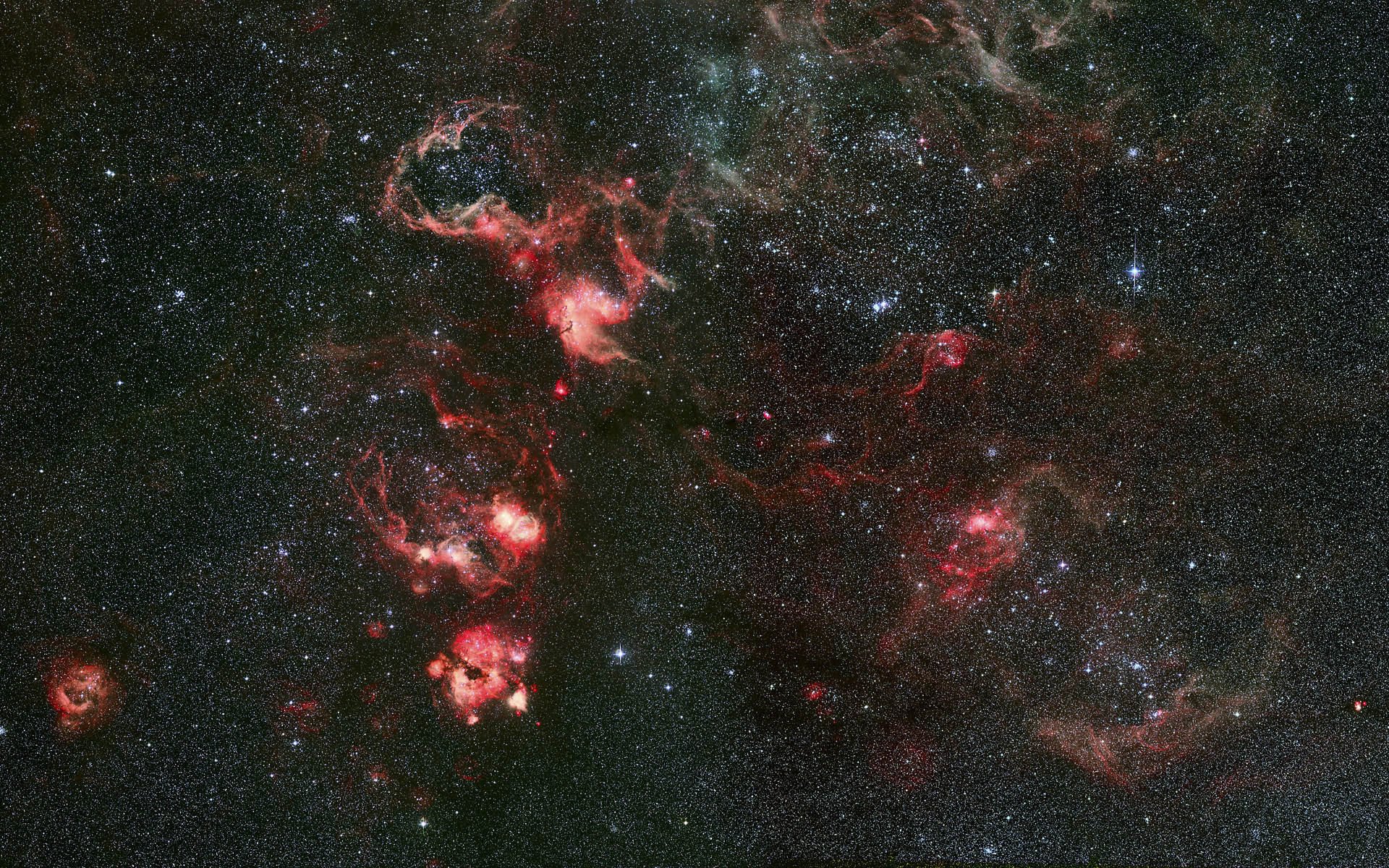 pez dorado tarántula constelación ngc 2070 nebulosa