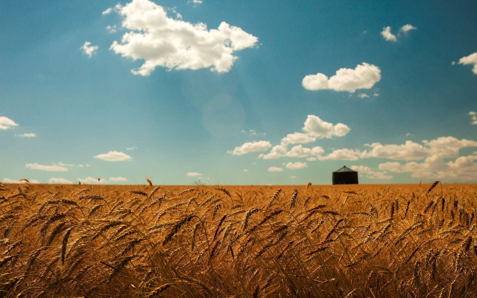 ährchen wolken weizen sommer himmel feld gold