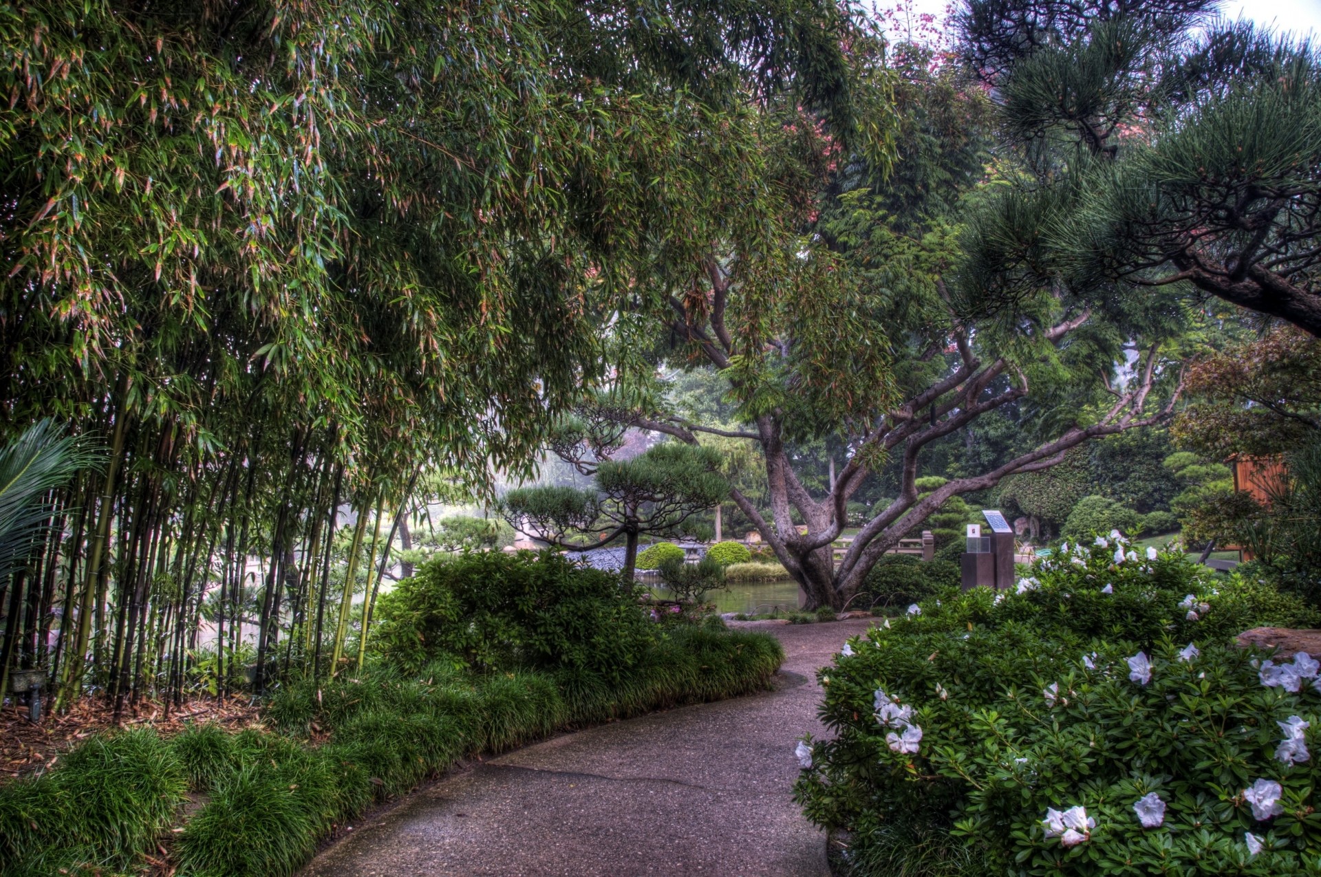 couleurs arbres fleurs arboretum bambou chemin