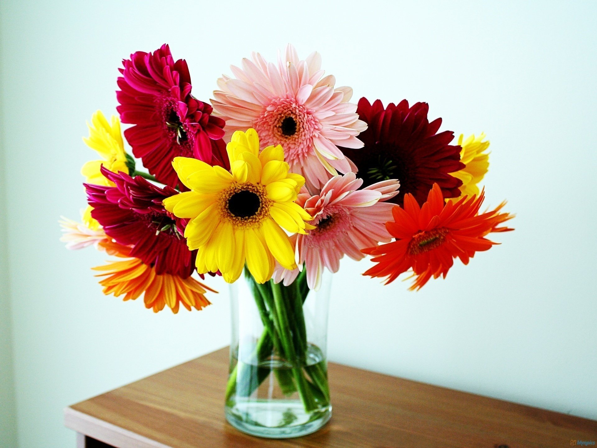 gerbera vase bouquet