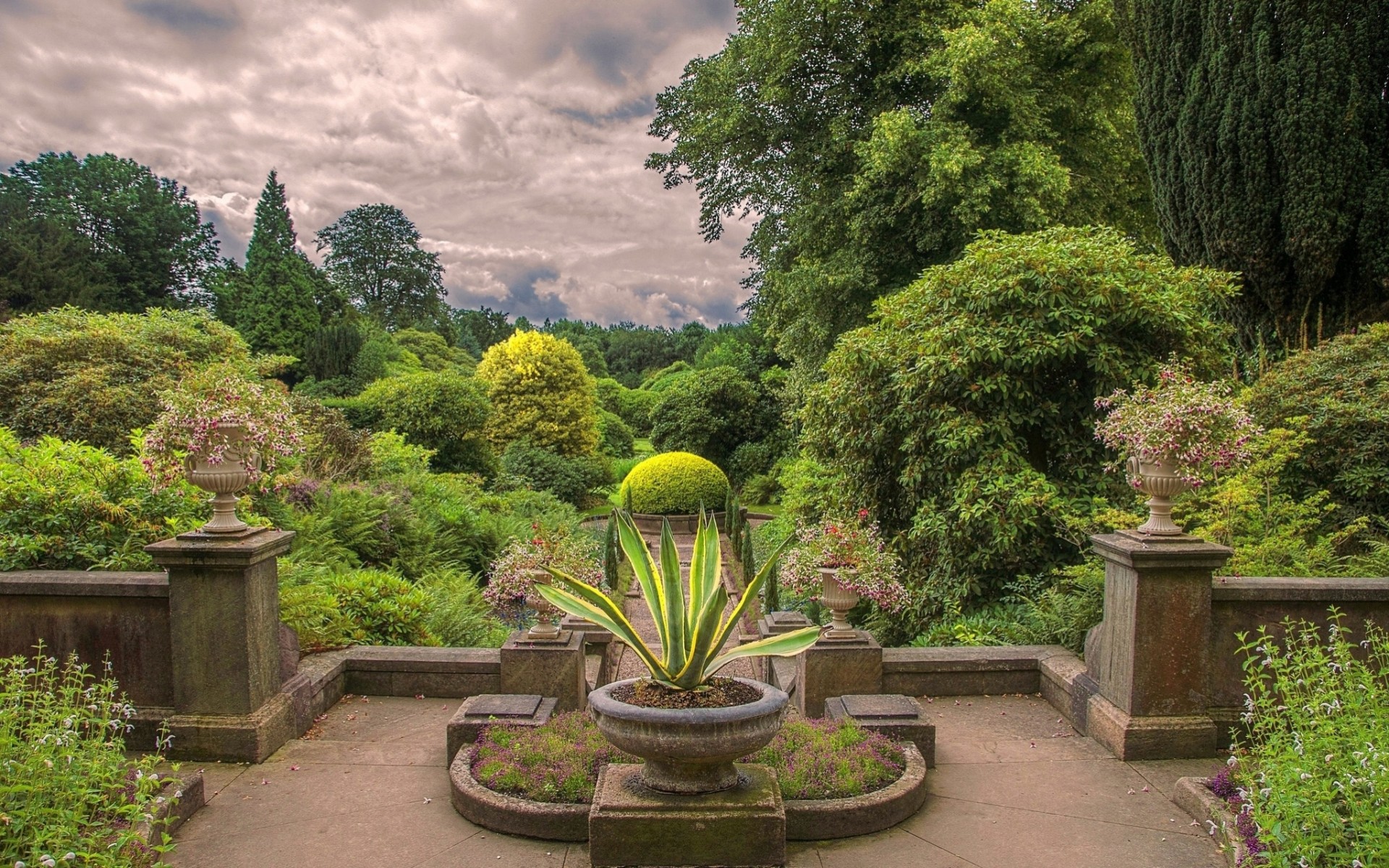 inghilterra alberi fiori parco cespugli