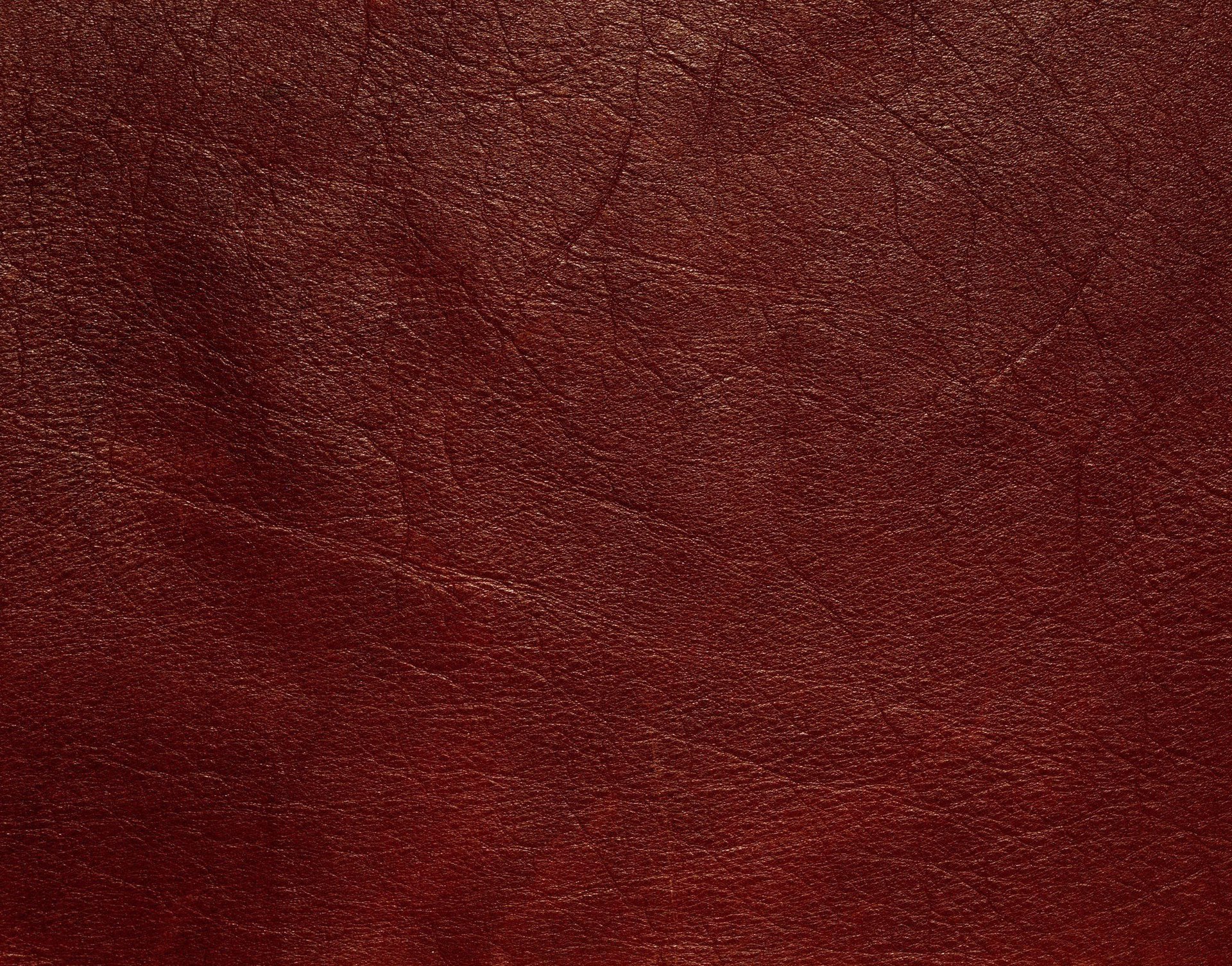 texture texture animals veins dressing leather